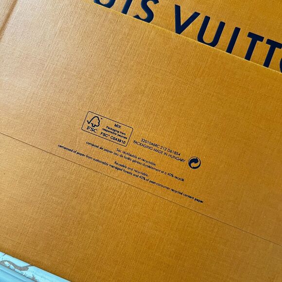 Louis Vuitton Gift Bag Empty - Picture 6 of 7